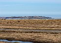 2017-03-23 71A3507-Nekselø